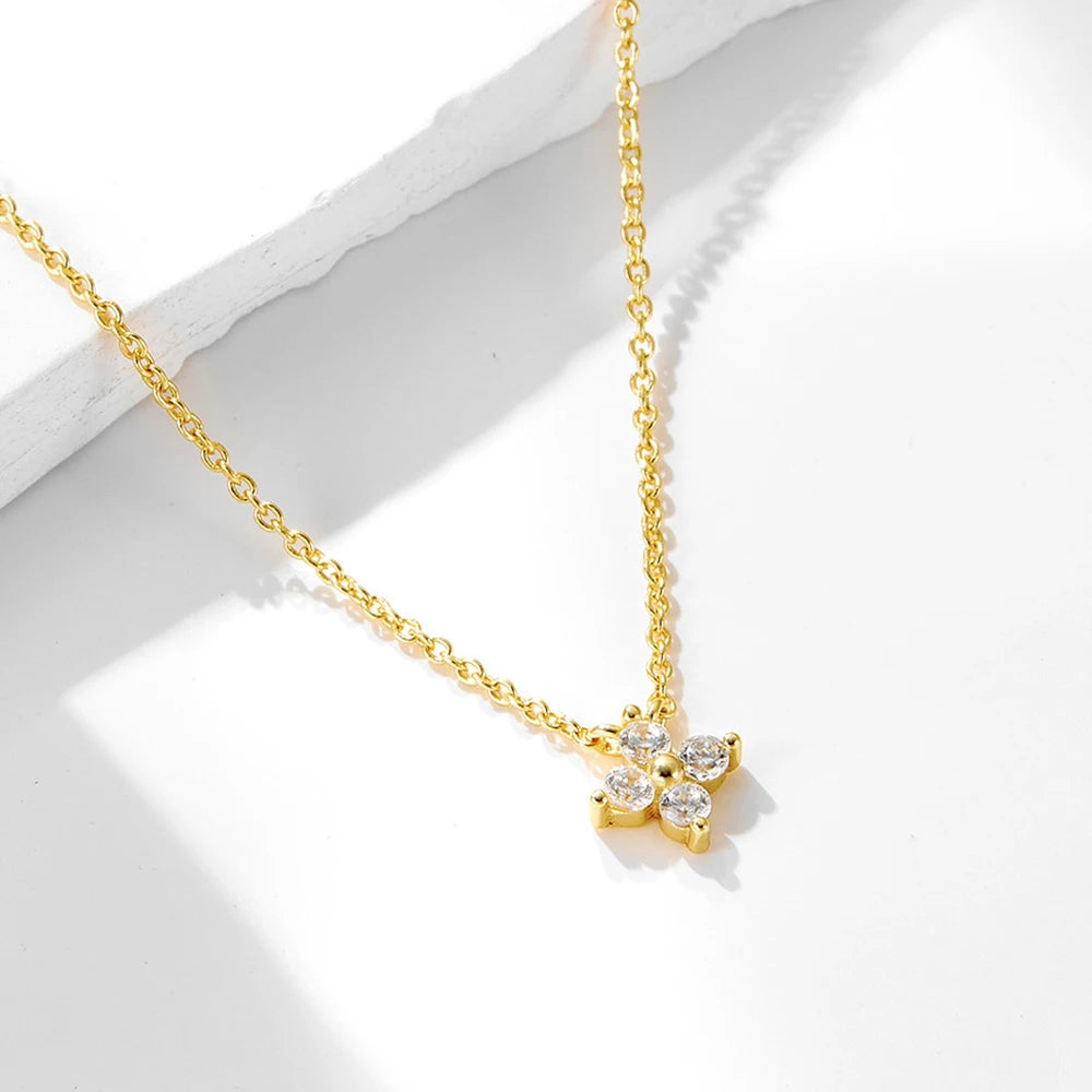 S567cbb0f5b644dd6b2cac02763440415c